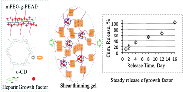 Graphical abstract: Dual physical dynamic bond-based injectable and biodegradable hydrogel for tissue regeneration