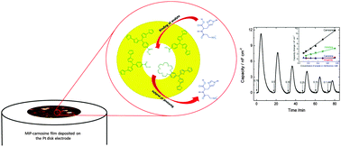 Graphical abstract: An electropolymerized molecularly imprinted polymer for selective carnosine sensing with impedimetric capacity