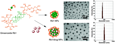 Graphical abstract: Ginsenoside nanoparticle: a new green drug delivery system