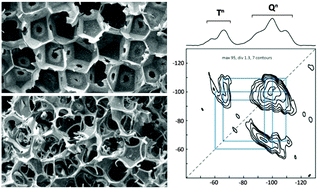 Graphical abstract: Bioactive glass–gelatin hybrids: building scaffolds with enhanced calcium incorporation and controlled porosity for bone regeneration