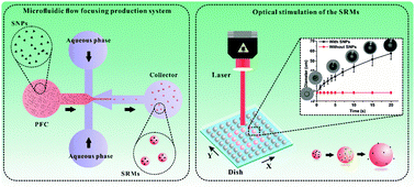 Graphical abstract: Microfluidic fabrication of stimuli-responsive microdroplets for acoustic and optical droplet vaporization