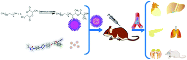 Graphical abstract: Development of an itraconazole encapsulated polymeric nanoparticle platform for effective antifungal therapy