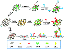 Graphical abstract: An electrochemical immunosensor for simultaneous point-of-care cancer markers based on the host–guest inclusion of β-cyclodextrin–graphene oxide