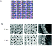 Graphical abstract: Rapid endothelialization and thin luminal layers in vascular grafts using silk fibroin