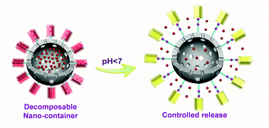 Graphical abstract: Improved in vivo tumor therapy via host–guest complexation