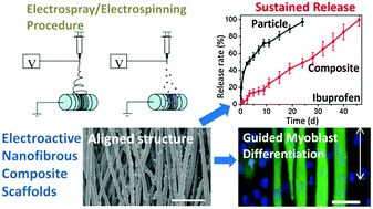 Graphical abstract: Nanofibrous polylactide composite scaffolds with electroactivity and sustained release capacity for tissue engineering