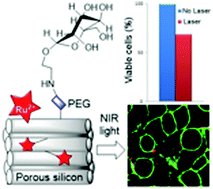 Graphical abstract: Ruthenium(ii) complex-photosensitized multifunctionalized porous silicon nanoparticles for two-photon near-infrared light responsive imaging and photodynamic cancer therapy