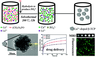 Graphical abstract: Multifunctional Gd,Ce,Tb co-doped β-tricalcium phosphate porous nanospheres for sustained drug release and bioimaging