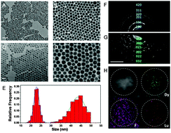 Graphical abstract: Mn-complex modified NaDyF4:Yb@NaLuF4:Yb,Er@polydopamine core–shell nanocomposites for multifunctional imaging-guided photothermal therapy