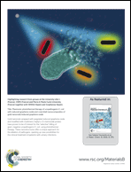 Graphical abstract: Back cover