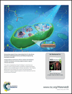 Graphical abstract: Back cover