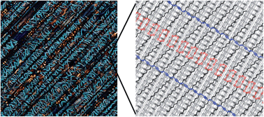 Graphical abstract: Orienting polydiacetylene using aligned carbon nanotubes