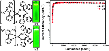 Graphical abstract: Efficient OLEDs with low efficiency roll-off using iridium complexes possessing good electron mobility