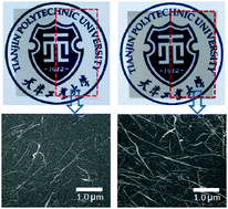 Graphical abstract: Fabrication and evaluation of adhesion enhanced flexible carbon nanotube transparent conducting films