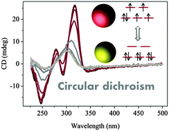 Graphical abstract: Chiral spin crossover nanoparticles and gels with switchable circular dichroism