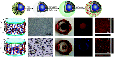 Graphical abstract: Bifunctional superparamagnetic–luminescent core–shell–satellite structured microspheres: preparation, characterization, and magnetodisplay application