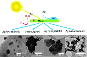 Graphical abstract: Light driven growth of silver nanoplatelets on 2D MoS2 nanosheet templates