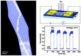 Graphical abstract: High performance UV light photodetectors based on Sn-nanodot-embedded SnO2 nanobelts