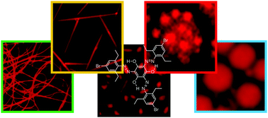 Graphical abstract: Facile morphological control of fluorescent nano/microstructures via self-assembly and phase separation of trigonal azobenzenes showing aggregation-induced emission enhancement in polymer matrices