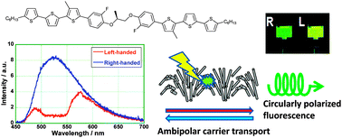 Graphical abstract: Circularly polarized light emission from a chiral nematic phenylterthiophene dimer exhibiting ambipolar carrier transport