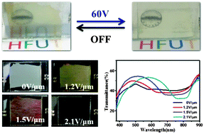 Graphical abstract: Cholesteric liquid crystals with an electrically controllable reflection bandwidth based on ionic polymer networks and chiral ions