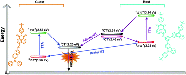 Graphical abstract: Simultaneous harvesting of triplet excitons in OLEDs by both guest and host materials with an intramolecular charge-transfer feature via triplet–triplet annihilation