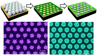 Graphical abstract: Fabrication of gold and silver hierarchically micro/nanostructured arrays by localized electrocrystallization for application as SERS substrates