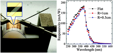 Graphical abstract: A flexible ultraviolet photodetector based on single crystalline MoO3 nanosheets