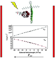 Graphical abstract: Insight into external electric field dependent photoinduced intermolecular charge transport in BHJ solar cell materials