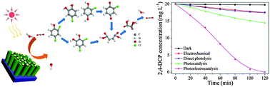 Graphical abstract: Construction of Mn0.5Zn0.5Fe2O4 modified TiO2 nanotube array nanocomposite electrodes and their photoelectrocatalytic performance in the degradation of 2,4-DCP