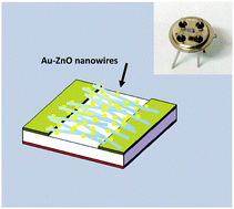 Graphical abstract: Light-controlled C2H2 gas sensing based on Au–ZnO nanowires with plasmon-enhanced sensitivity at room temperature