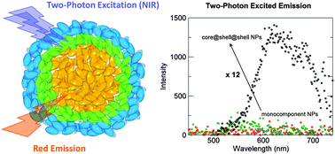 Graphical abstract: Amplified two-photon brightness in organic multicomponent nanoparticles