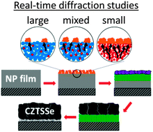 Graphical abstract: The role of interparticle heterogeneities in the selenization pathway of Cu–Zn–Sn–S nanoparticle thin films: a real-time study