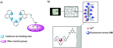 Graphical abstract: Reactive fluorescent dye functionalized cotton fabric as a “Magic Cloth” for selective sensing and reversible separation of Cd2+ in water