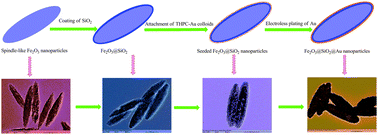 Graphical abstract: Sandwich-structured Fe2O3@SiO2@Au nanoparticles with magnetoplasmonic responses