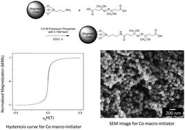 Graphical abstract: Magnetic macro-initiators