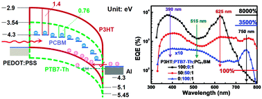 Graphical abstract: Highly sensitive polymer photodetectors with a broad spectral response range from UV light to the near infrared region