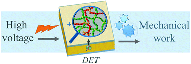 Graphical abstract: Bimodal silicone interpenetrating networks sequentially built as electroactive dielectric elastomers