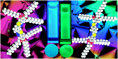 Graphical abstract: Effect of regioisomerism on the self-assembly and photophysical behavior of 1,3,4-thiadiazole-based polycatenars