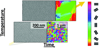 Graphical abstract: Scaling of correlation length in lamellae forming PS-b-PMMA thin films upon high temperature rapid thermal treatments