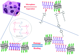 Graphical abstract: Self-healing and phase behavior of liquid crystalline elastomer based on a block copolymer constituted of a side-chain liquid crystalline polymer and a hydrogen bonding block