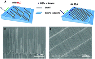 Graphical abstract: Graphoepitaxial effect in the guided growth of SWNT arrays on quartz