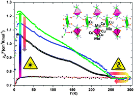 Graphical abstract: Photo-induced magnetic properties of the [CuII(bapa)]2[MoIV(CN)8]·7H2O molecular ribbon