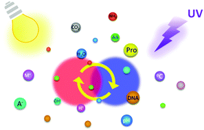 Graphical abstract: Photochromic sensors: a versatile approach for recognition and discrimination