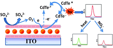 Graphical abstract: A 2D quantum dot-based electrochemiluminescence film sensor towards reversible temperature-sensitive response and nitrite detection