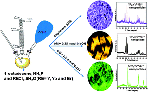 Graphical abstract: Synthesis, luminescence properties, and growth mechanisms of YF3:Yb3+/Er3+ nanoplates