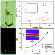 Graphical abstract: Variable gradient refractive index engineering: design, growth and electro-deflective application of KTa1−xNbxO3