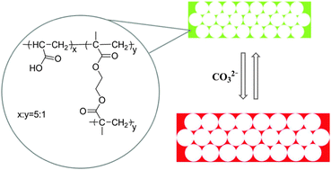 Graphical abstract: Visual detection of carbonate ions by inverse opal photonic crystal polymers in aqueous solution