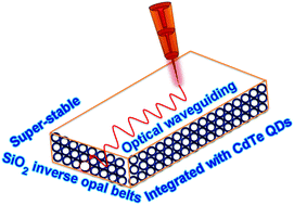 Graphical abstract: Super-stable centimetre-scale inverse opal belts integrated with CdTe QDs for narrow band fluorescence optical waveguiding