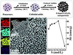 Graphical abstract: Nonmetal sulfur-doped coral-like cobalt ferrite nanoparticles with enhanced magnetic properties